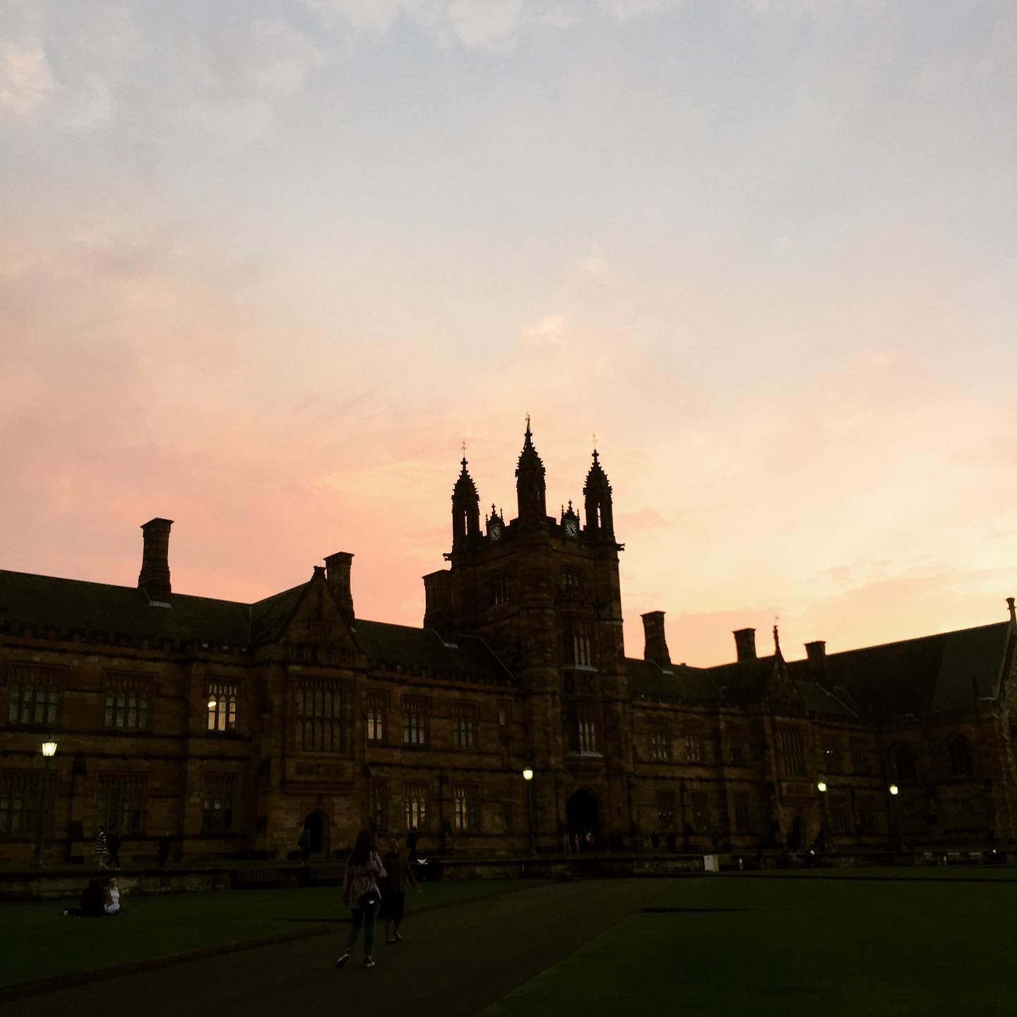 纽约大学