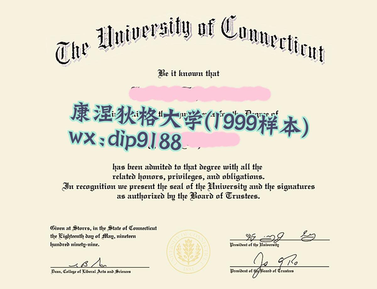 康涅狄格大学学历1999毕业证样本图