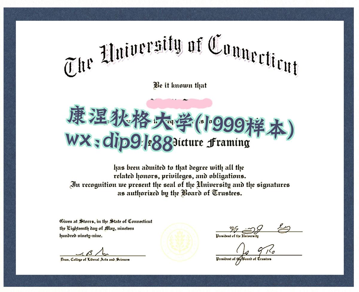 康涅狄格大学学历1999毕业证样本图
