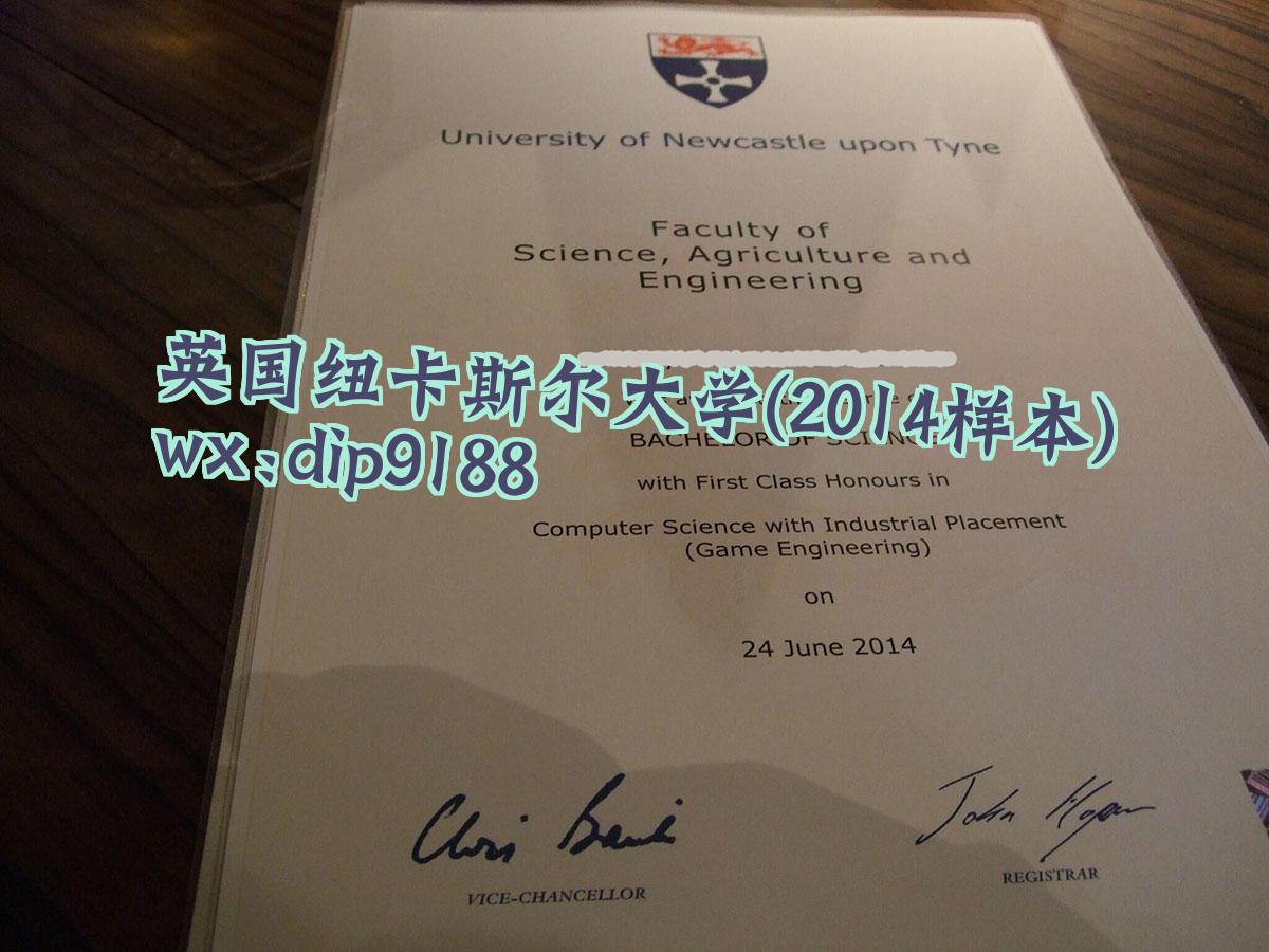 英国纽卡斯尔大学学历2014毕业证样本图