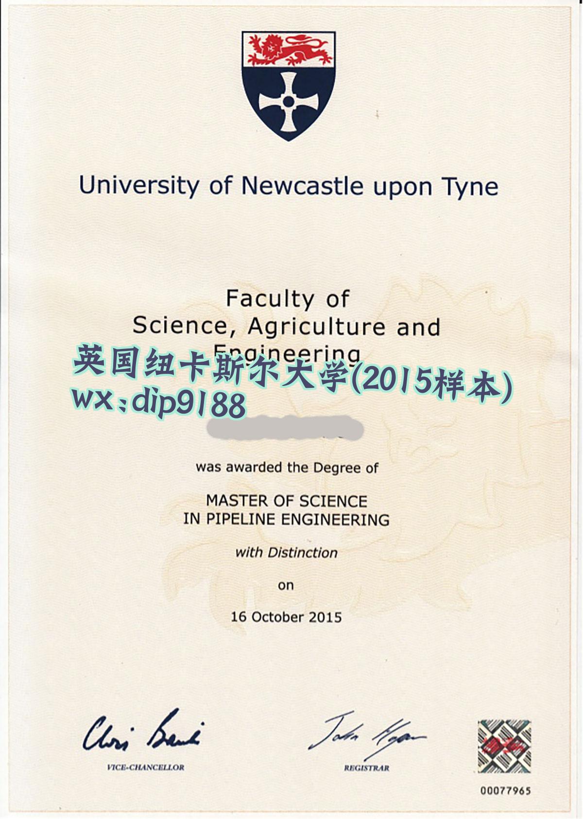 英国纽卡斯尔大学学历2015毕业证样本图