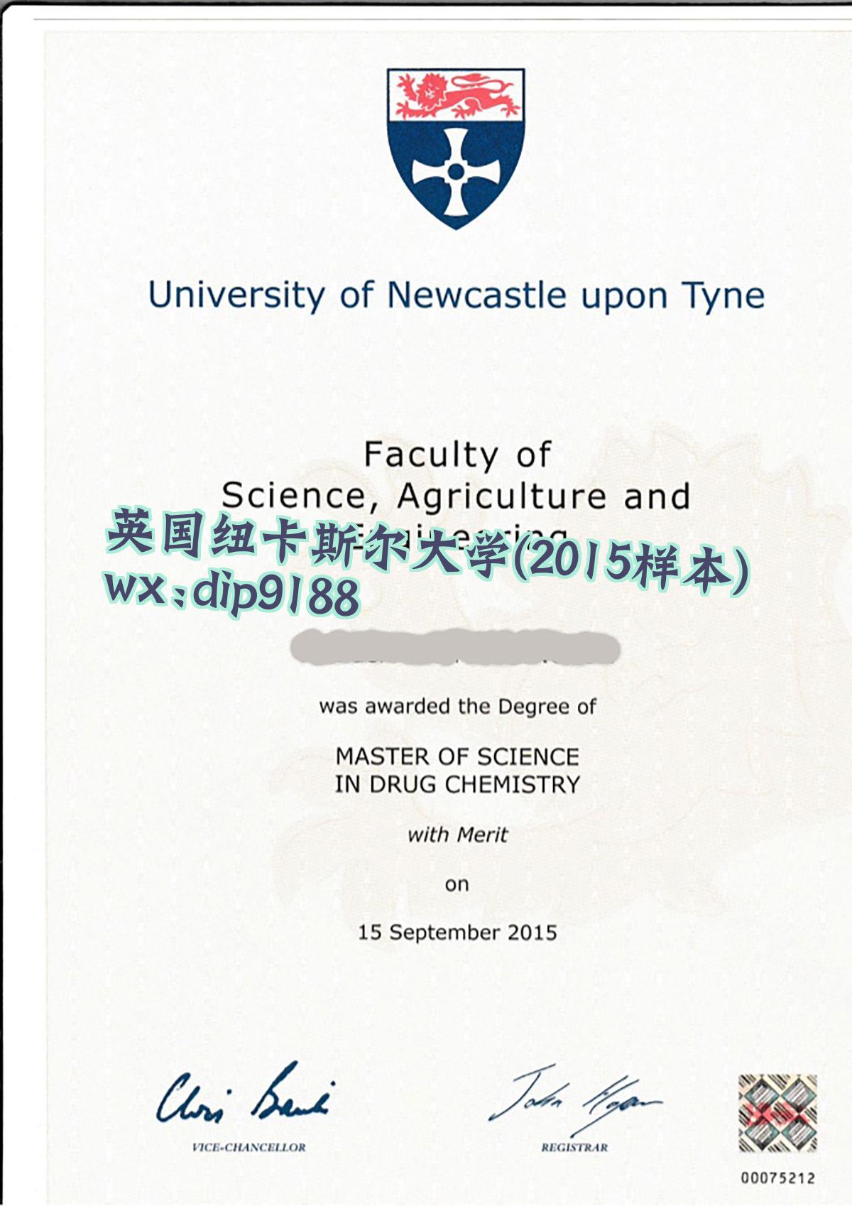 英国纽卡斯尔大学学历2015毕业证样本图