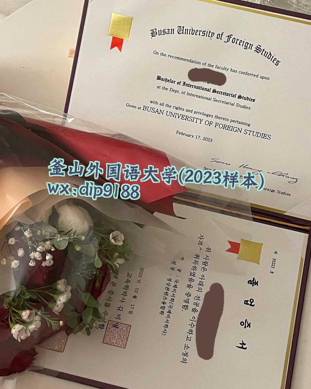 釜山外国语大学学历2023毕业证样本图