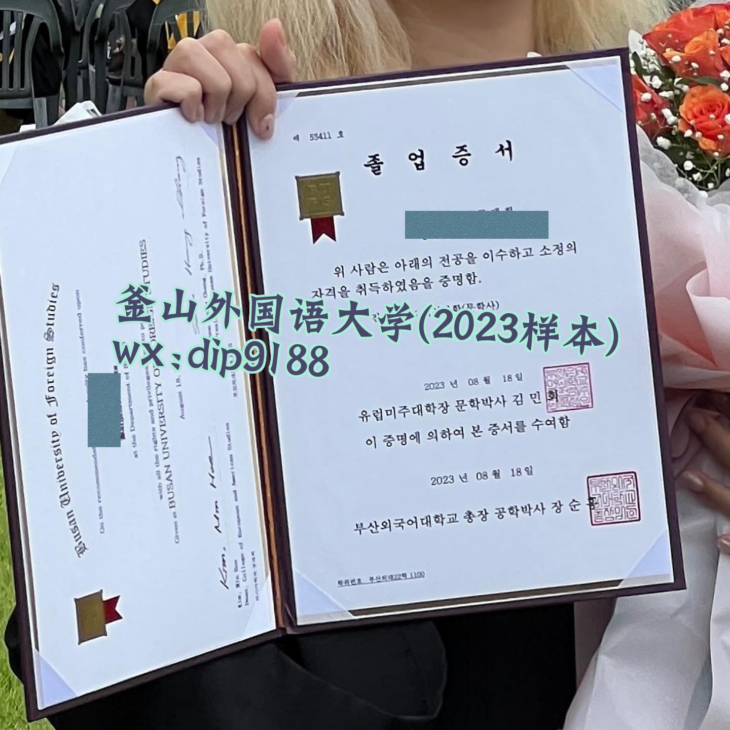 釜山外国语大学学历2023毕业证样本图