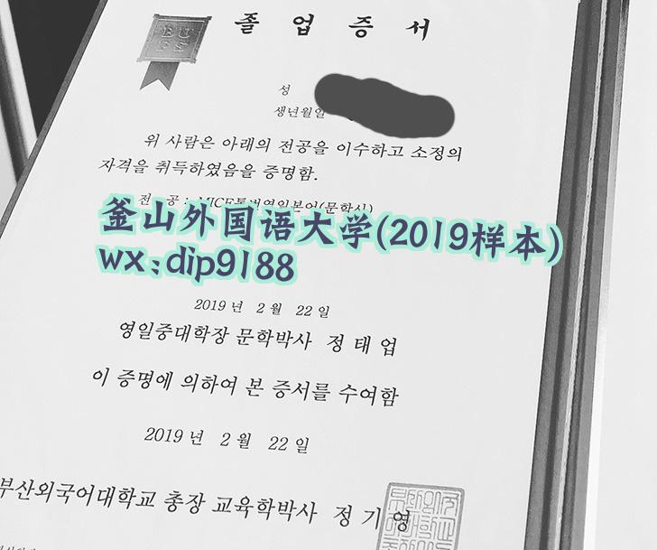 釜山外国语大学学历2019毕业证样本图