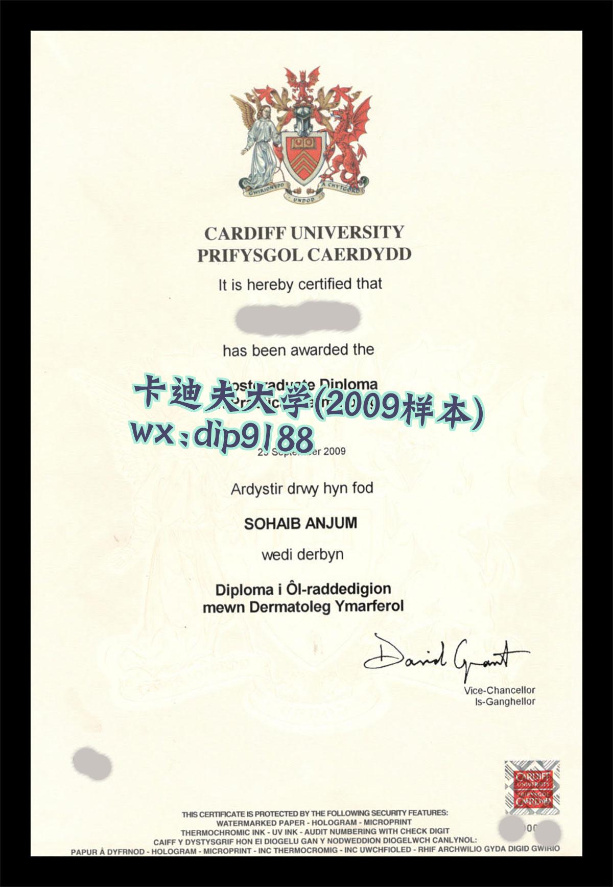 卡迪夫大学学历2009毕业证样本图