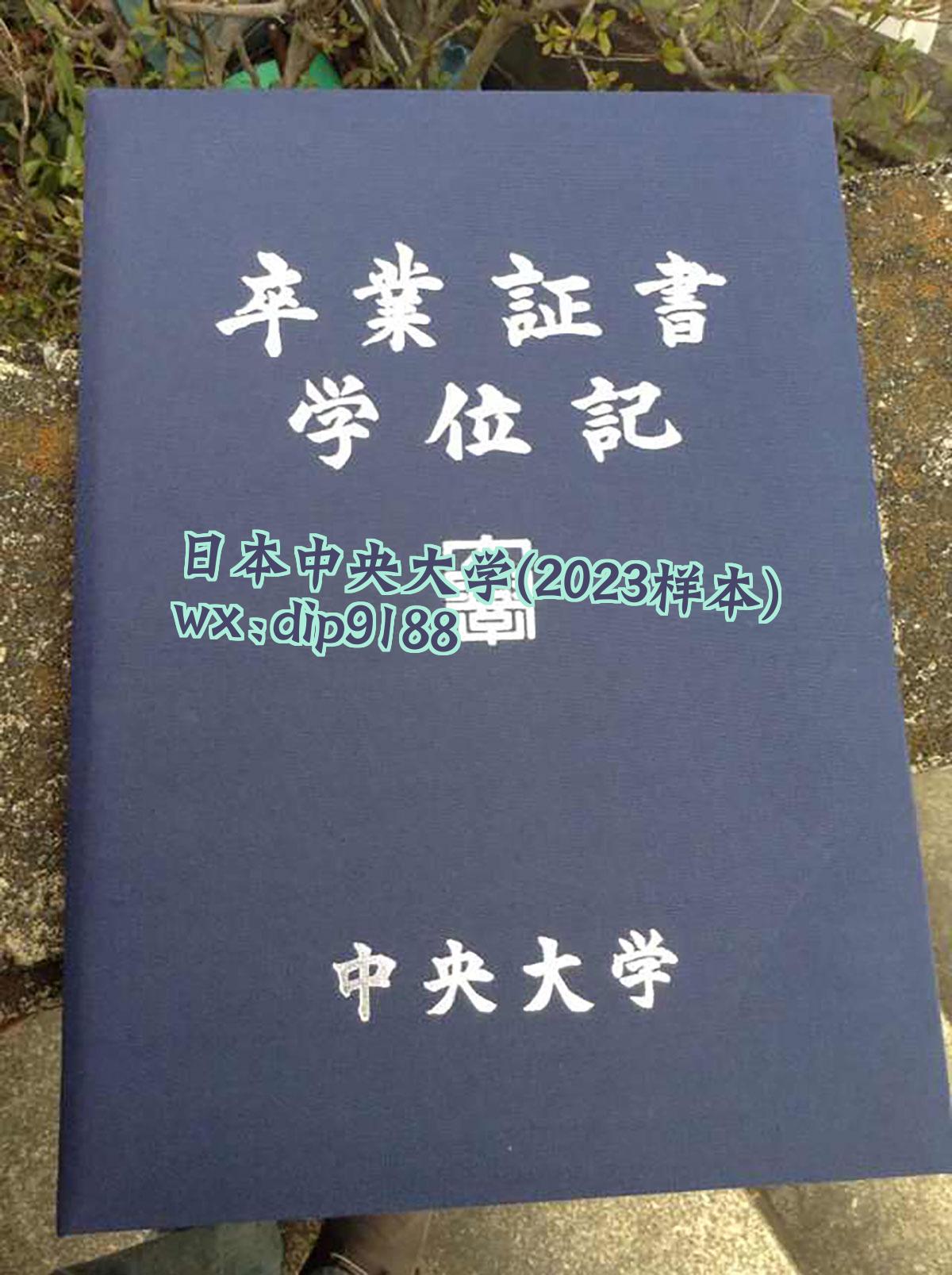 日本中央大学学历2023毕业证样本图