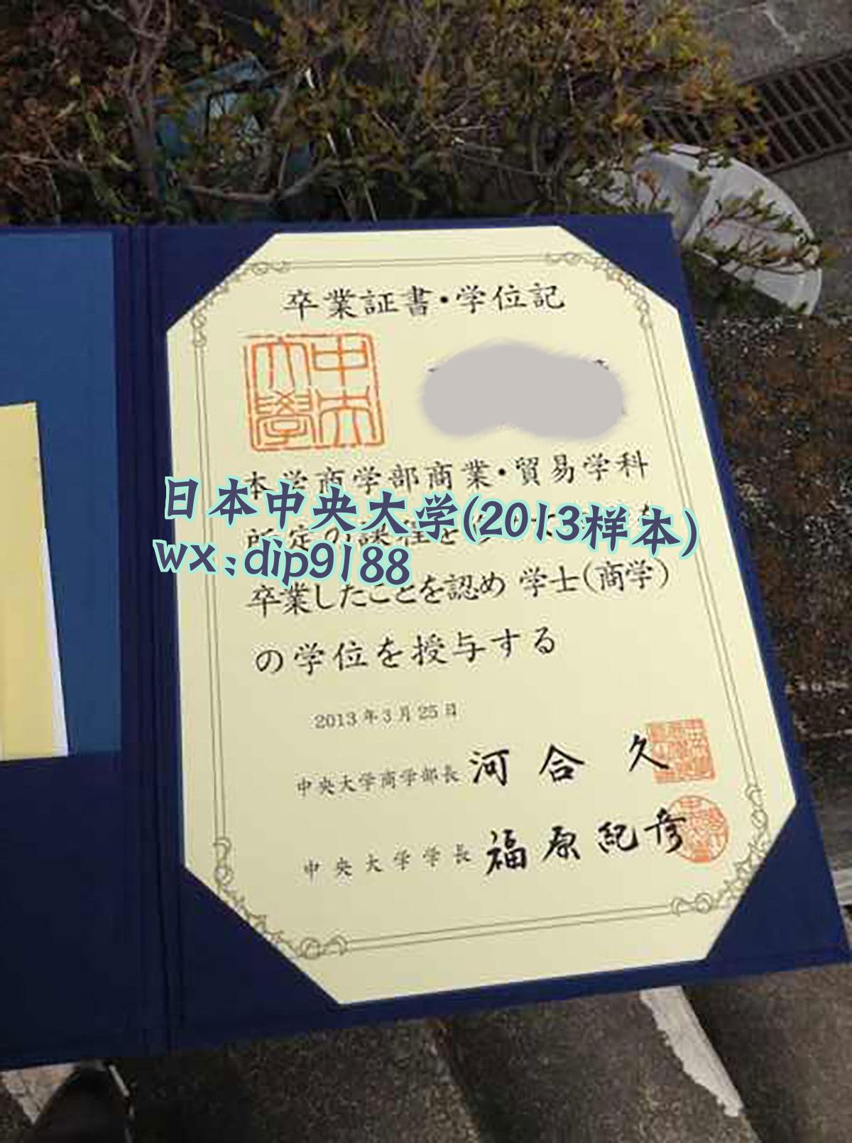 日本中央大学学历2013毕业证样本图