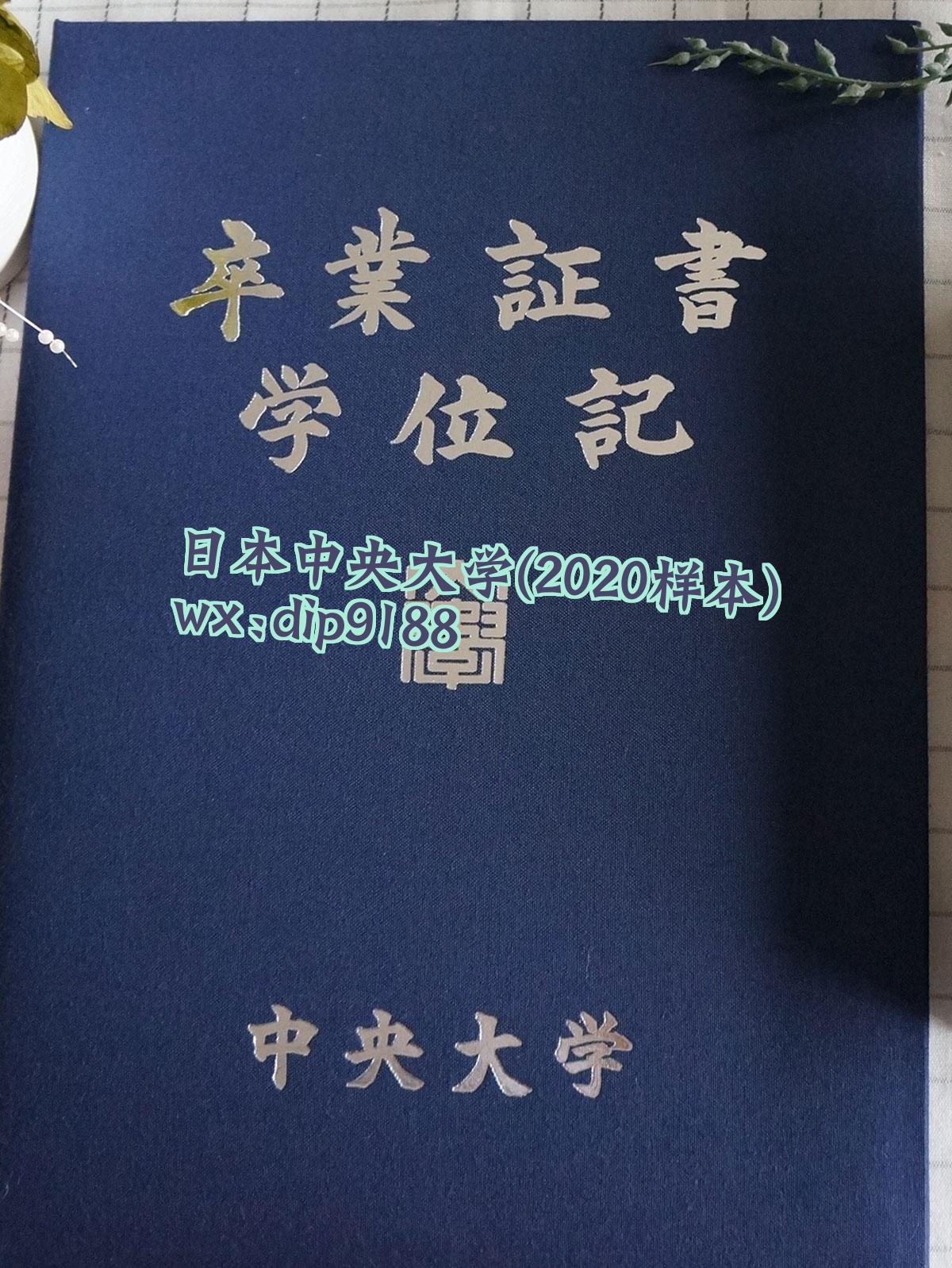 日本中央大学学历2020毕业证样本图