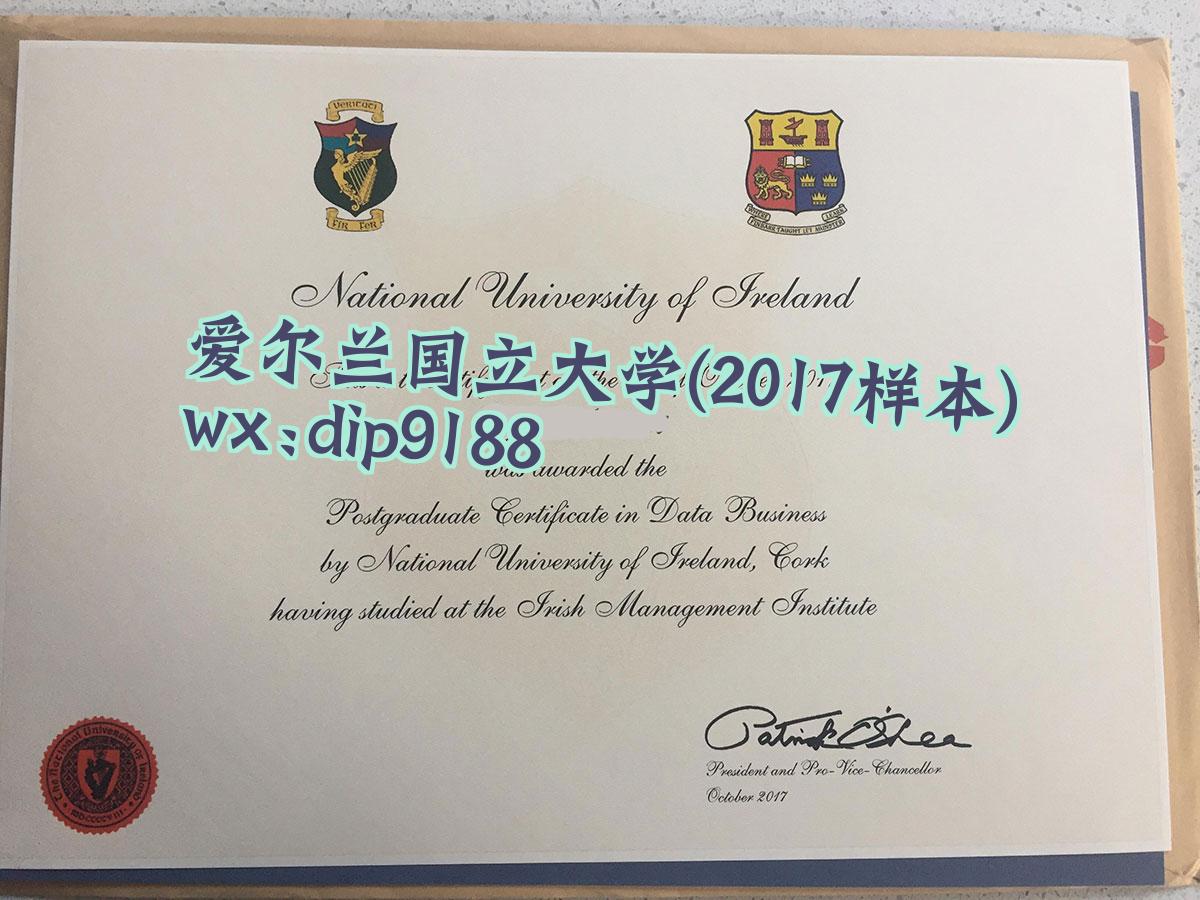 爱尔兰国立大学学历2017毕业证样本图