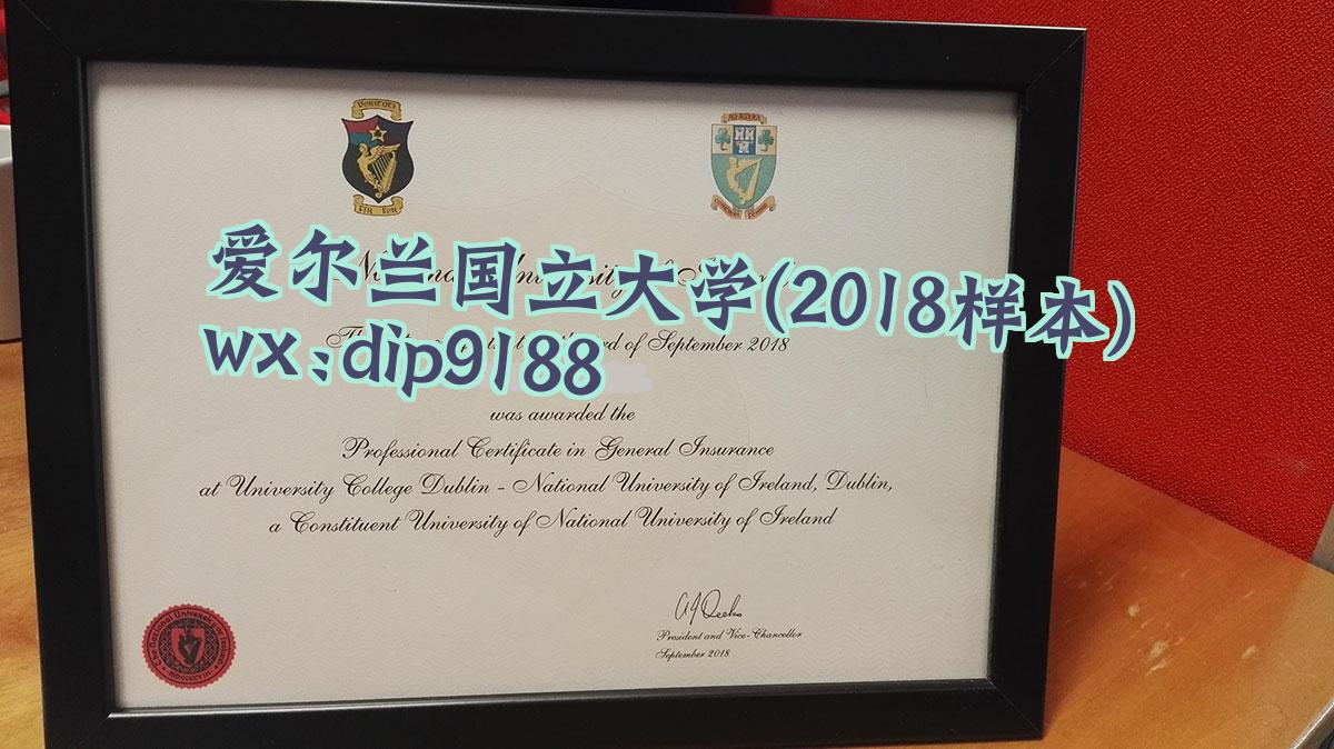 爱尔兰国立大学学历2018毕业证样本图