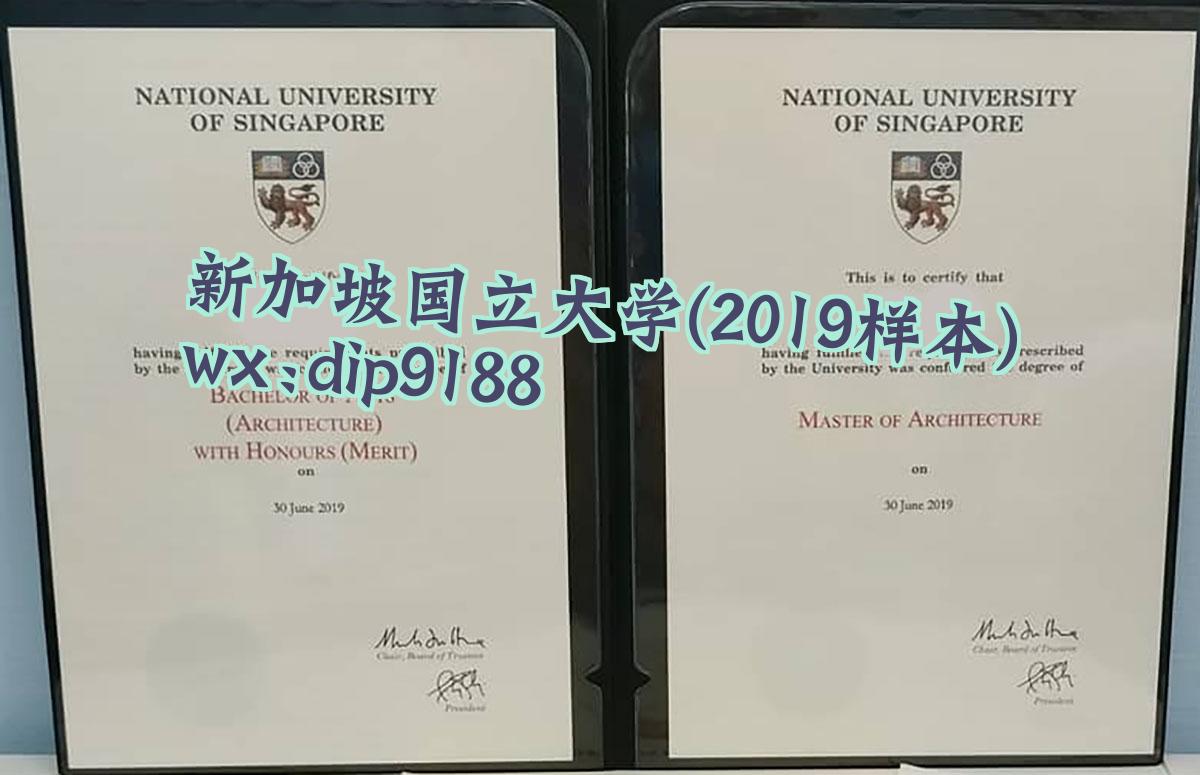 新加坡国立大学学历2019毕业证样本图
