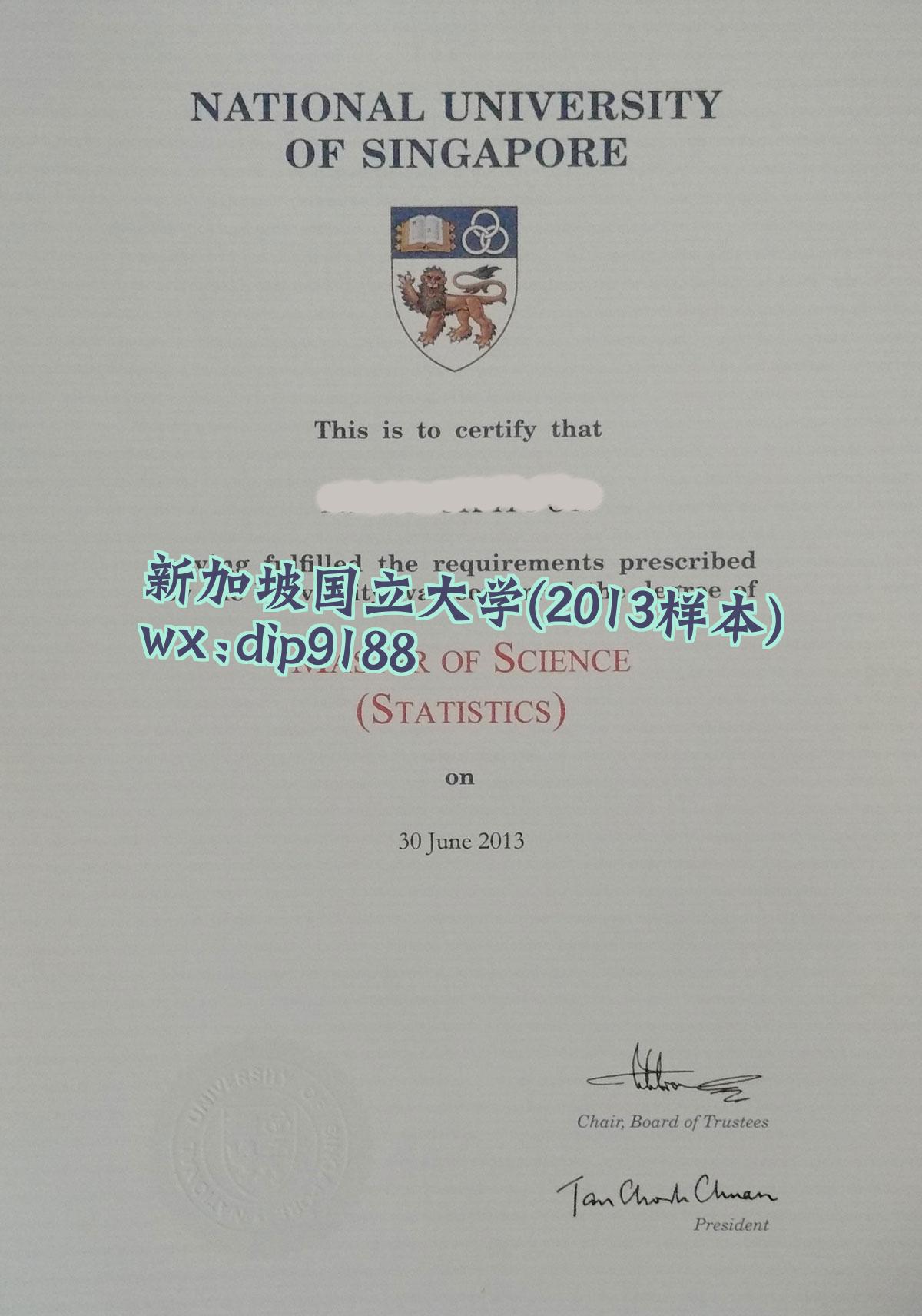 新加坡国立大学学历2013毕业证样本图
