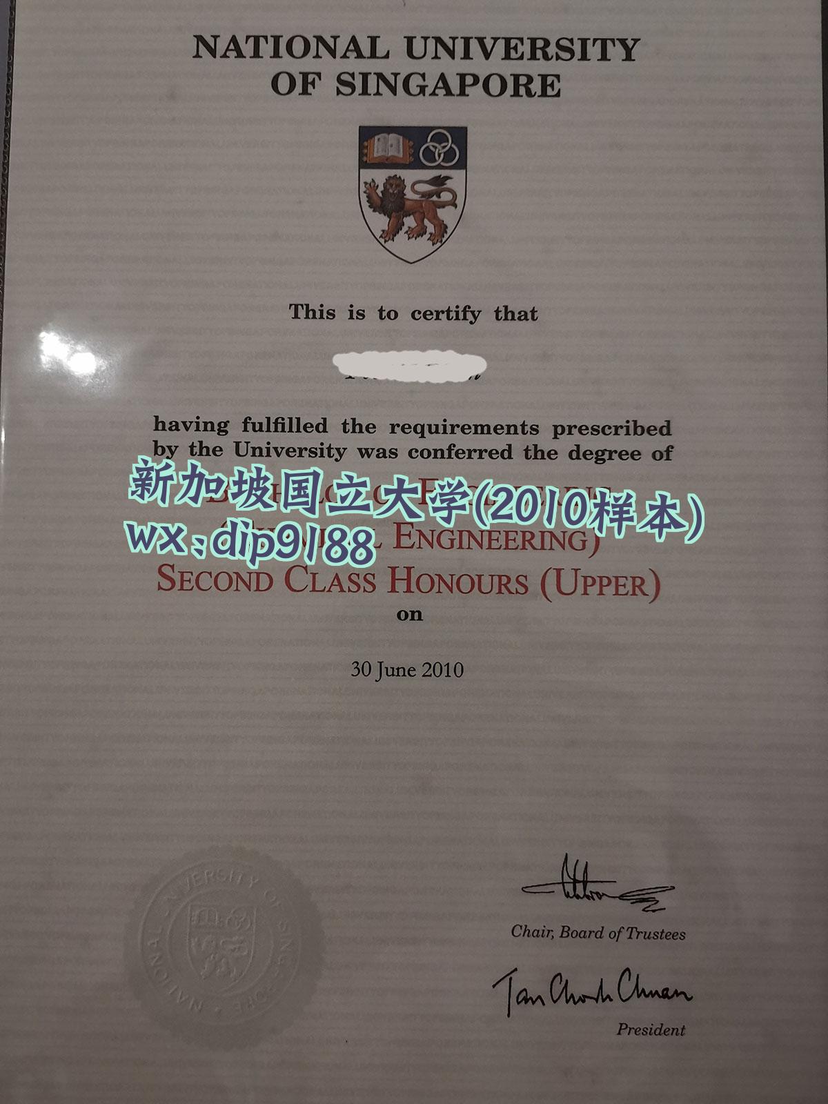 新加坡国立大学学历2010毕业证样本图
