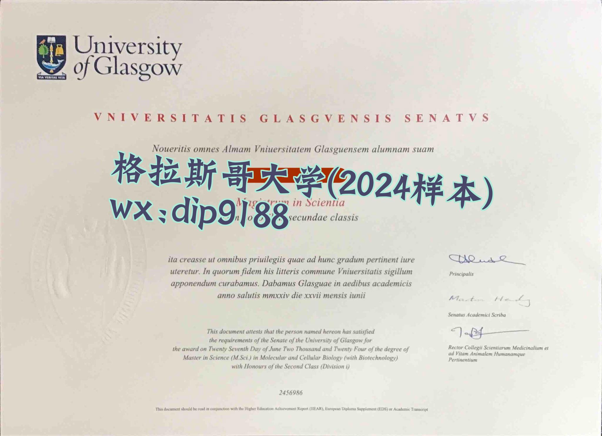 格拉斯哥大学学历2024毕业证样本图