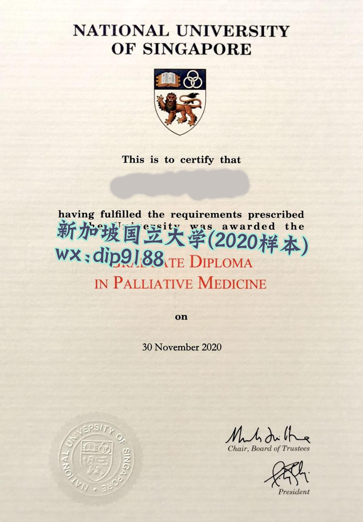 新加坡国立大学学历2020毕业证样本图
