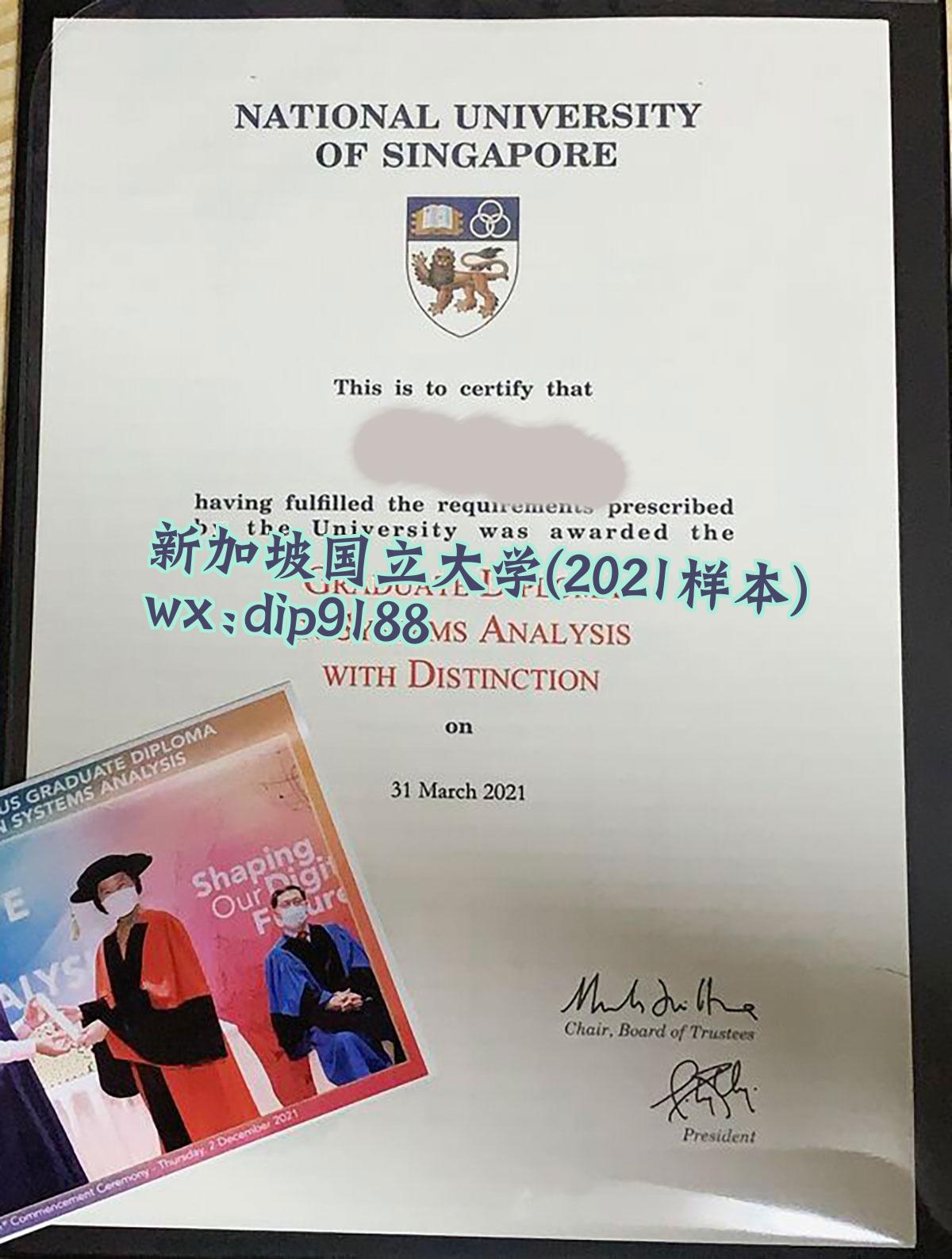 新加坡国立大学学历2021毕业证样本图