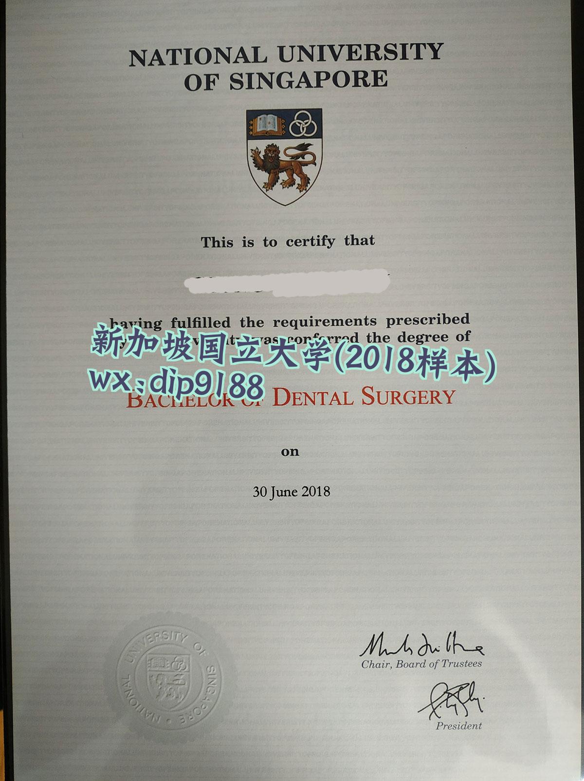 新加坡国立大学学历2018毕业证样本图