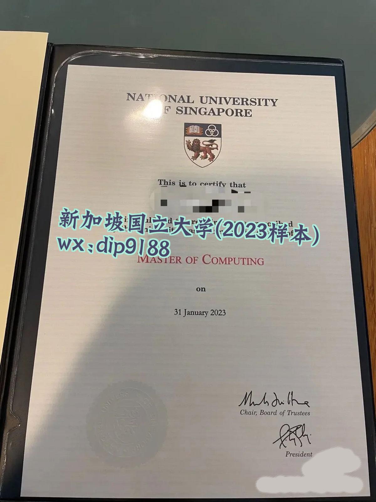 新加坡国立大学学历2023毕业证样本图