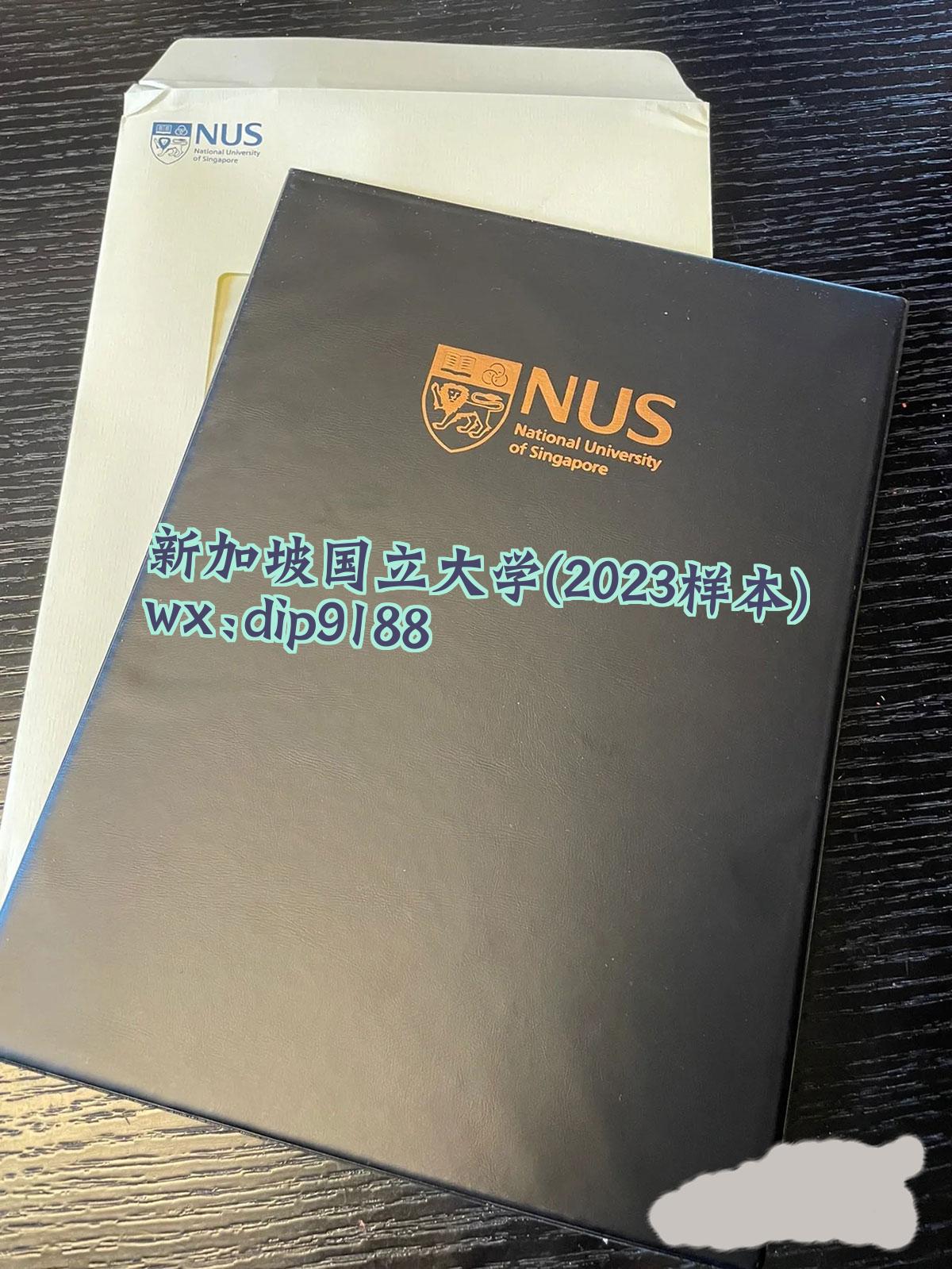 新加坡国立大学学历2023毕业证样本图