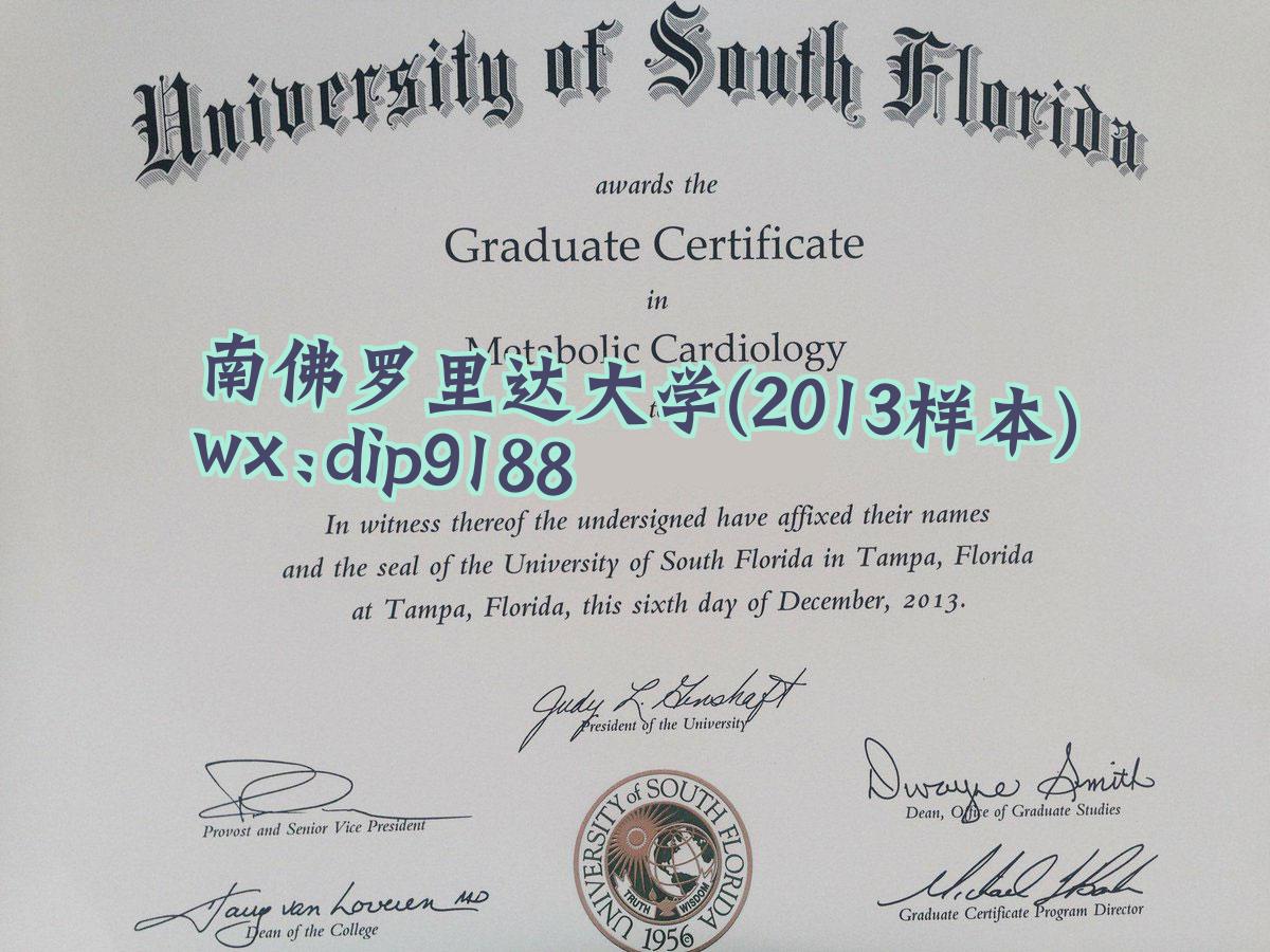 南佛罗里达大学学历2013毕业证样本图