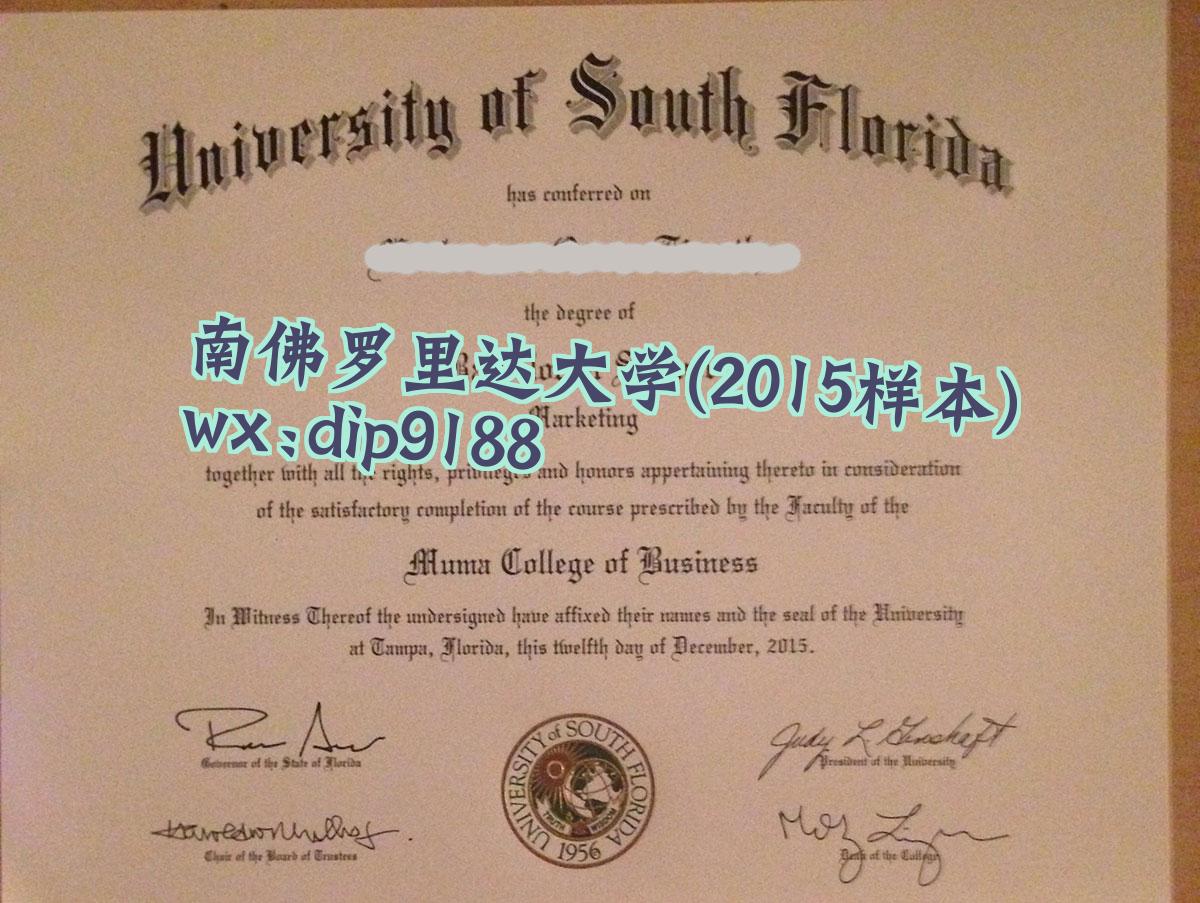 南佛罗里达大学学历2015毕业证样本图