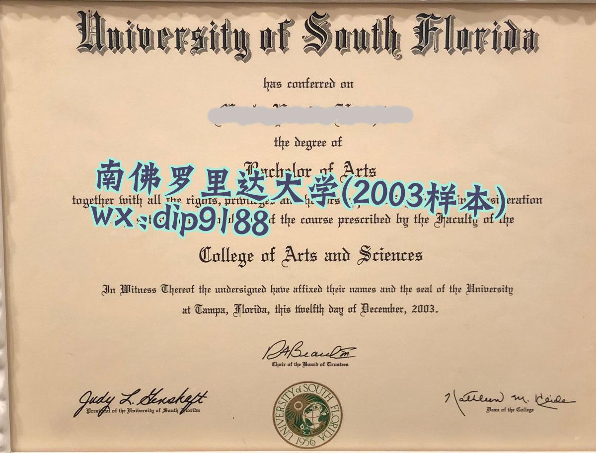 南佛罗里达大学学历2003毕业证样本图