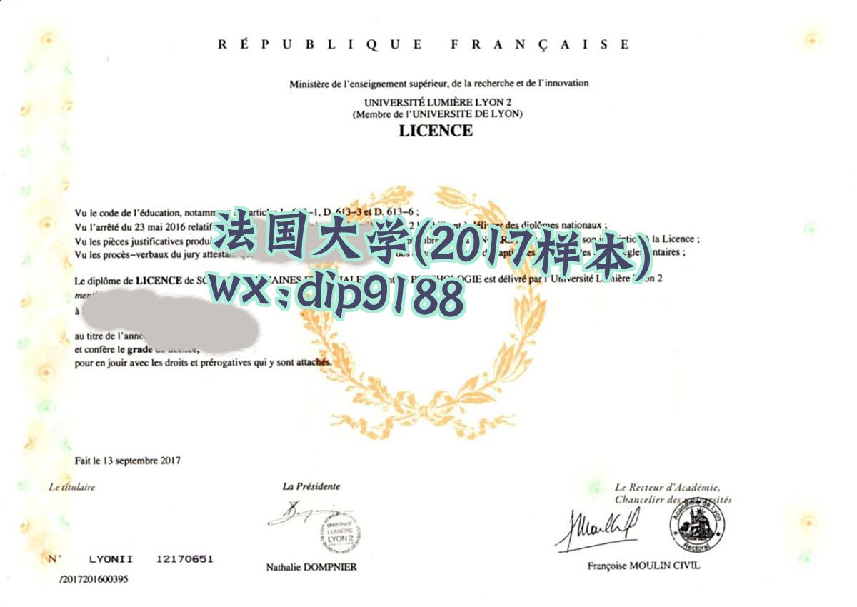 法国大学学历2017毕业证样本图