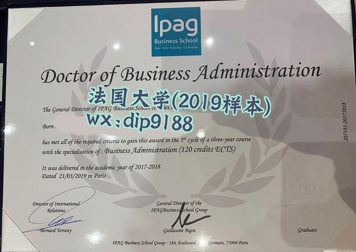 法国大学学历2019毕业证样本图