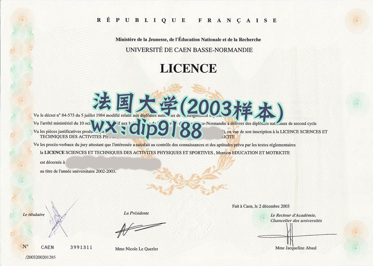 法国大学学历2003毕业证样本图