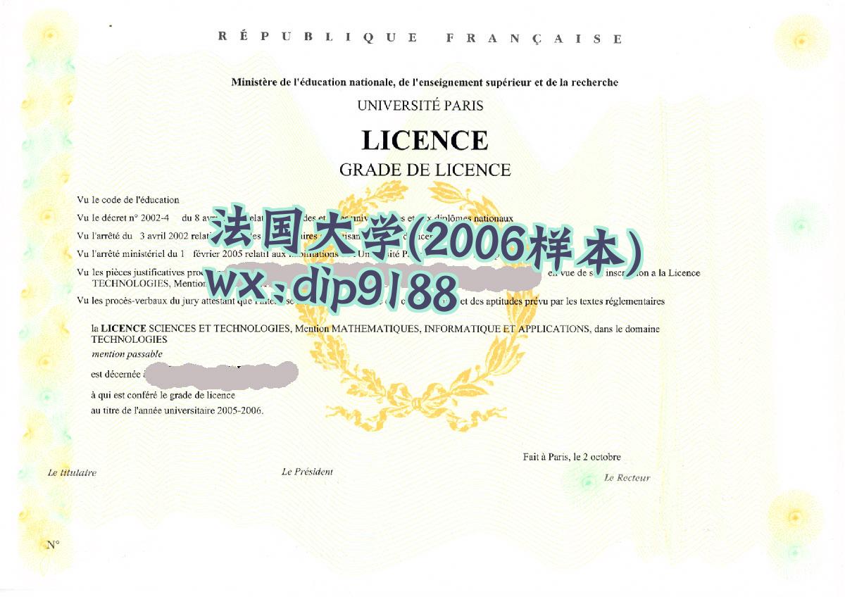 法国大学学历2006毕业证样本图