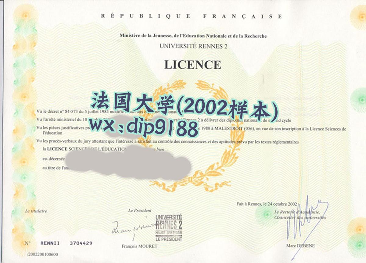 法国大学学历2002毕业证样本图