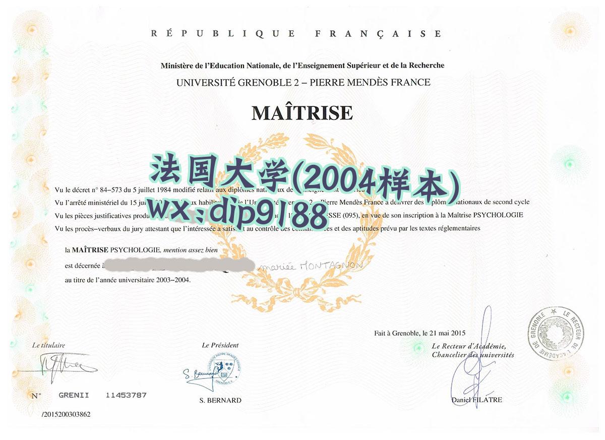法国大学学历2004毕业证样本图