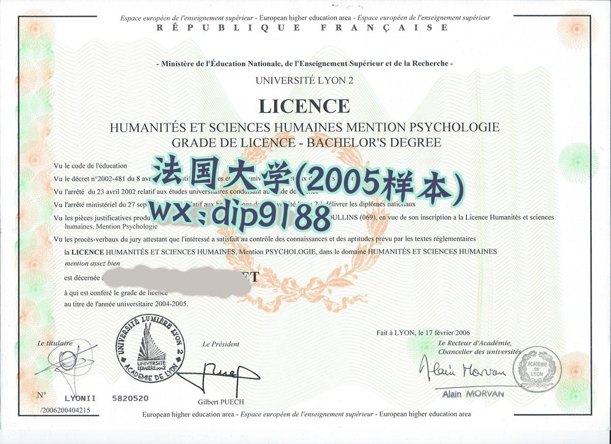 法国大学学历2005毕业证样本图