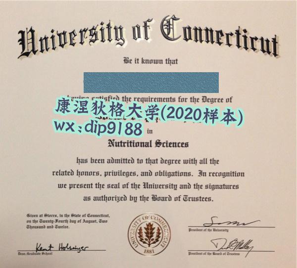 康涅狄格大学学历2020毕业证样本图