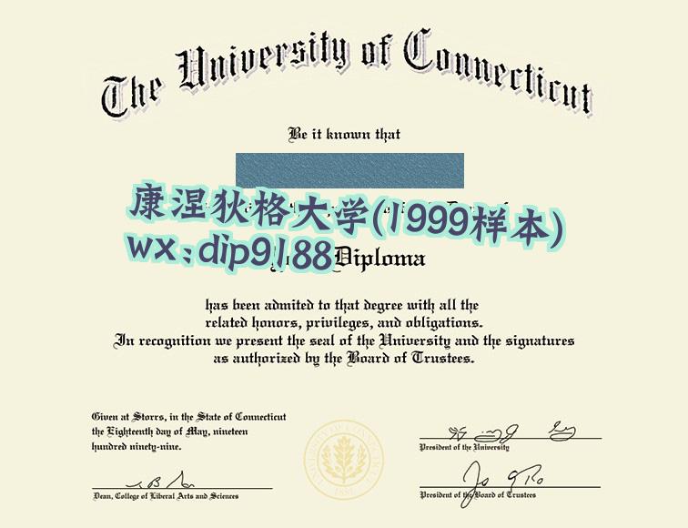 康涅狄格大学学历1999毕业证样本图