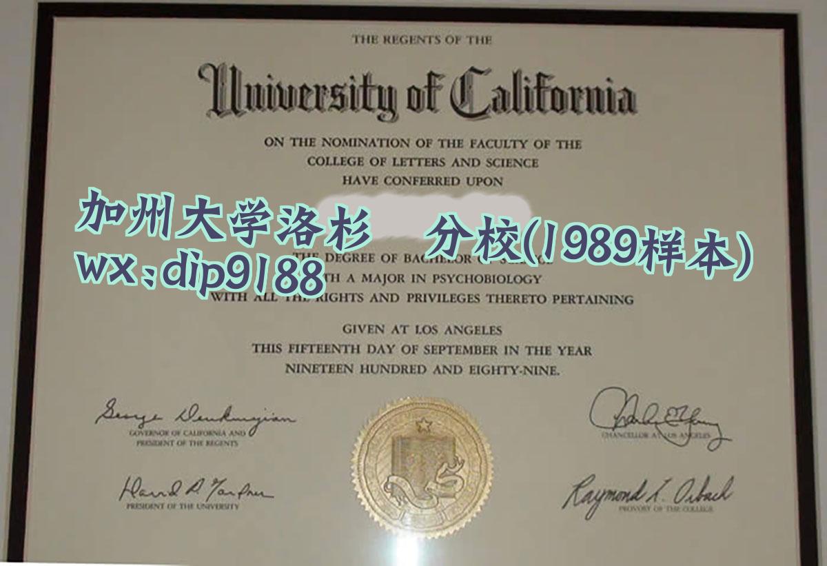 加州大学洛杉矶分校学历1989毕业证样本图
