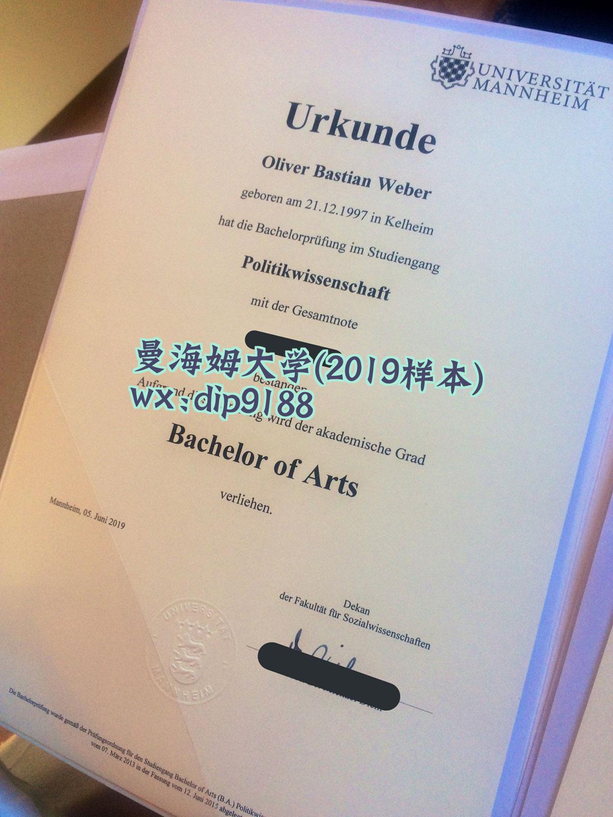 曼海姆大学学历2019毕业证样本图