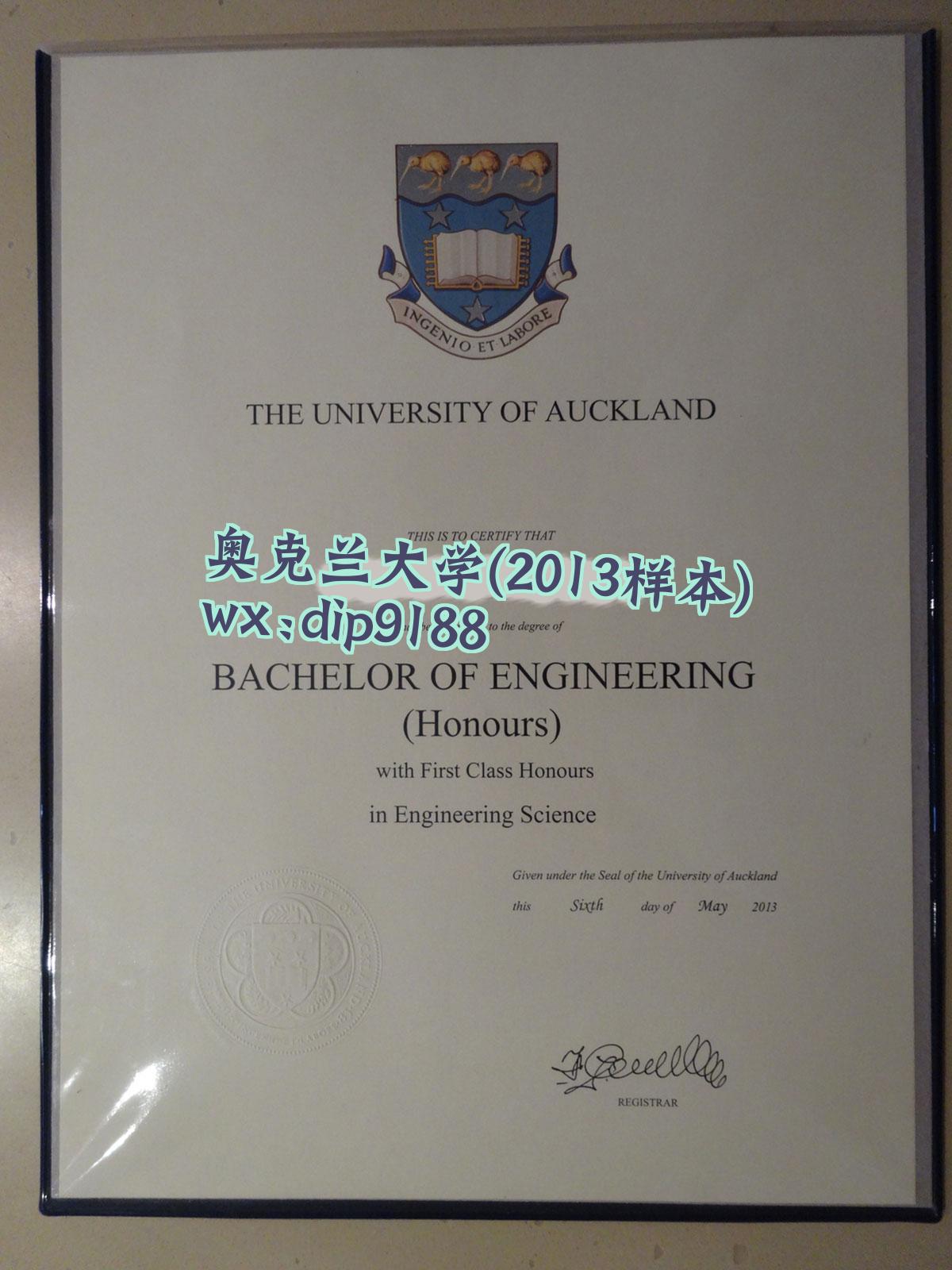 奥克兰大学学历2013毕业证样本图