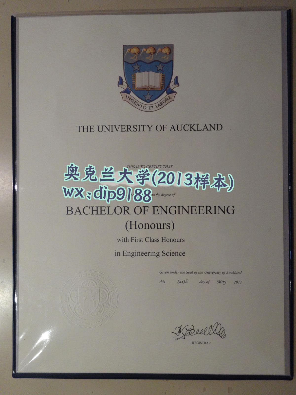 奥克兰大学学历2013毕业证样本图