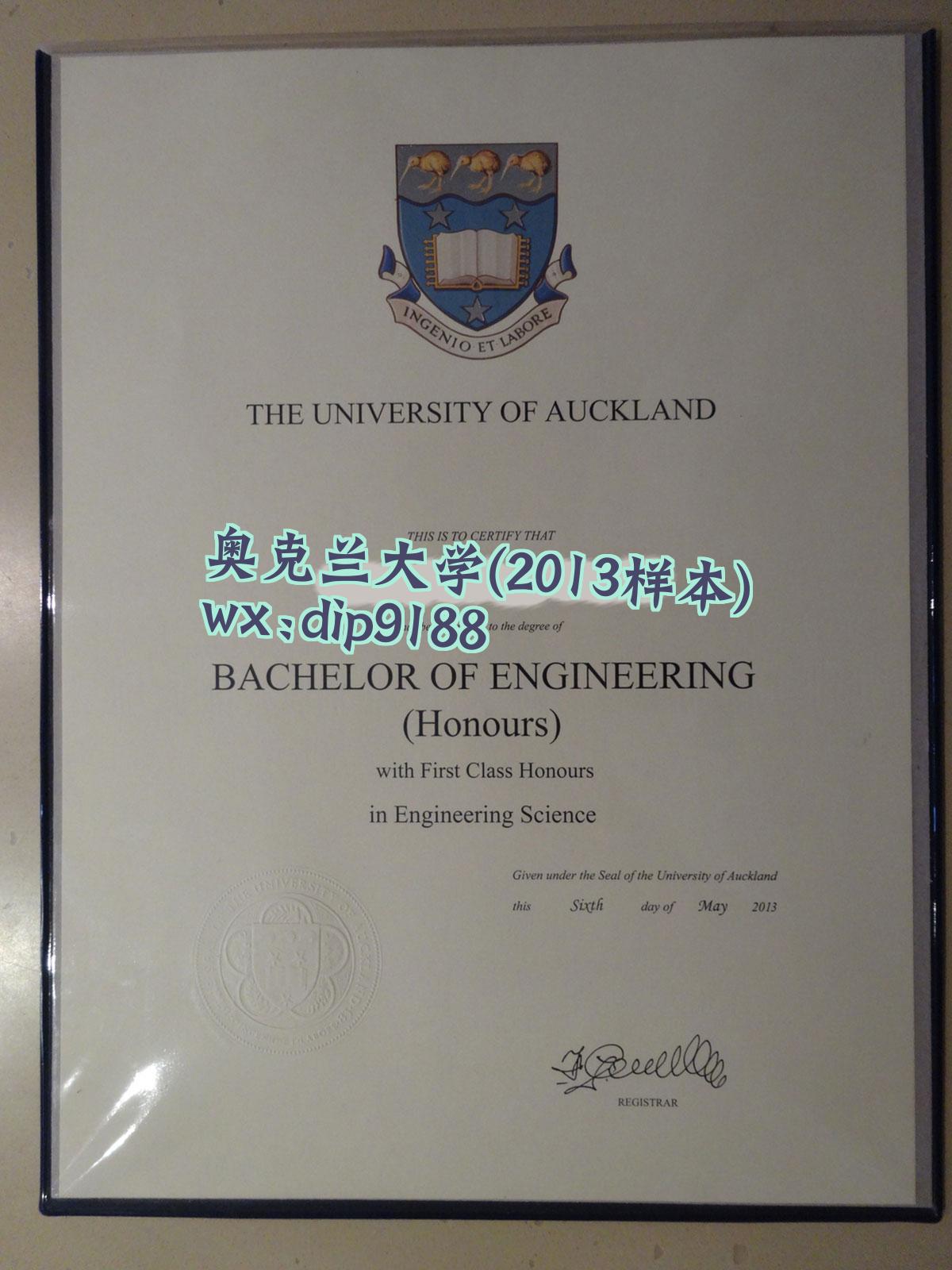 奥克兰大学学历2013毕业证样本图