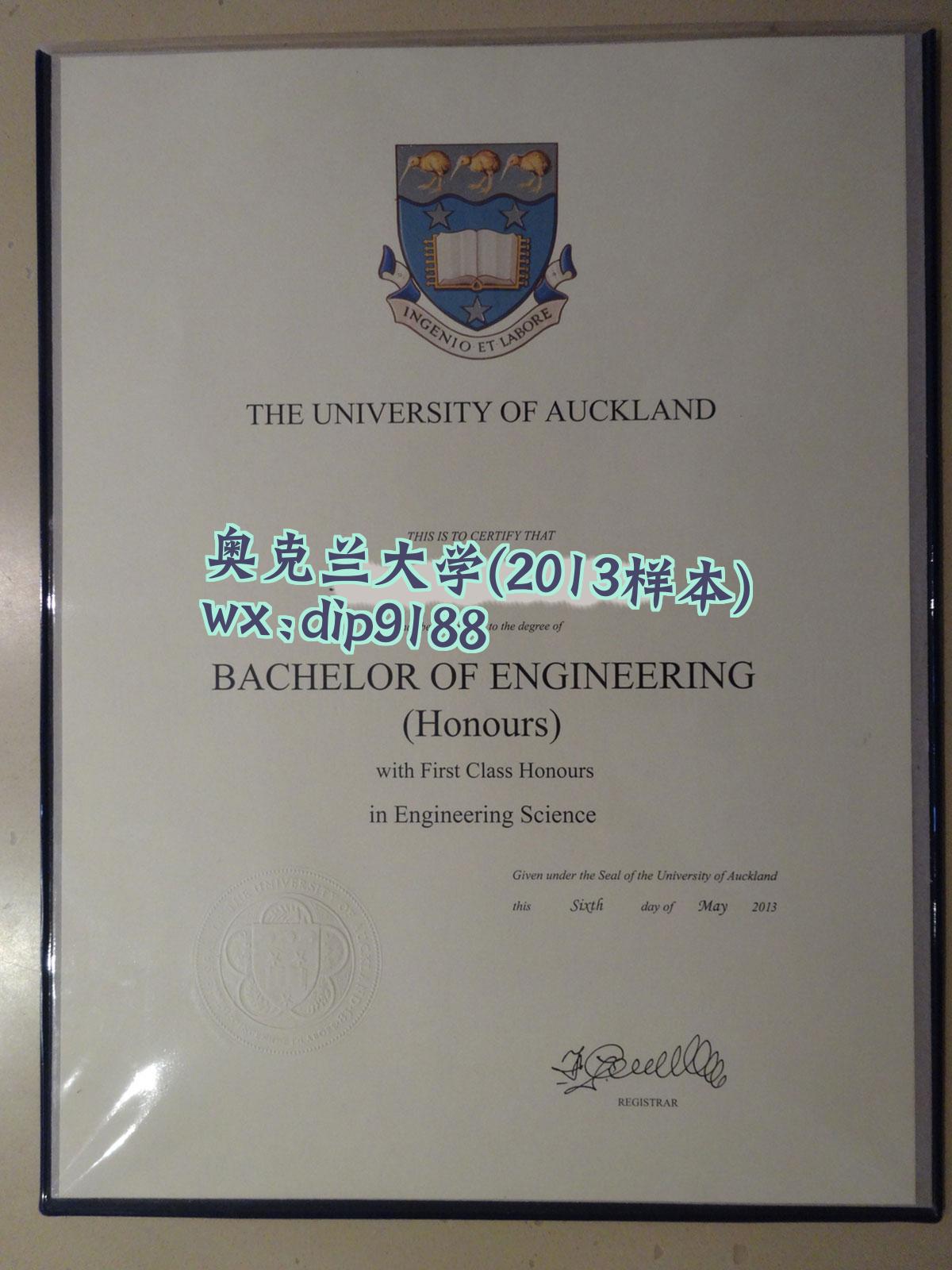 奥克兰大学学历2013毕业证样本图