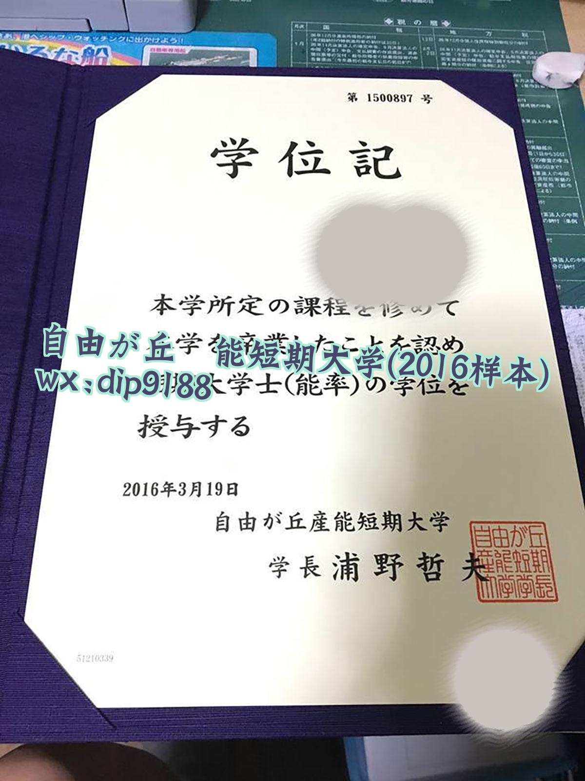 自由が丘産能短期大学学历2016毕业证样本图