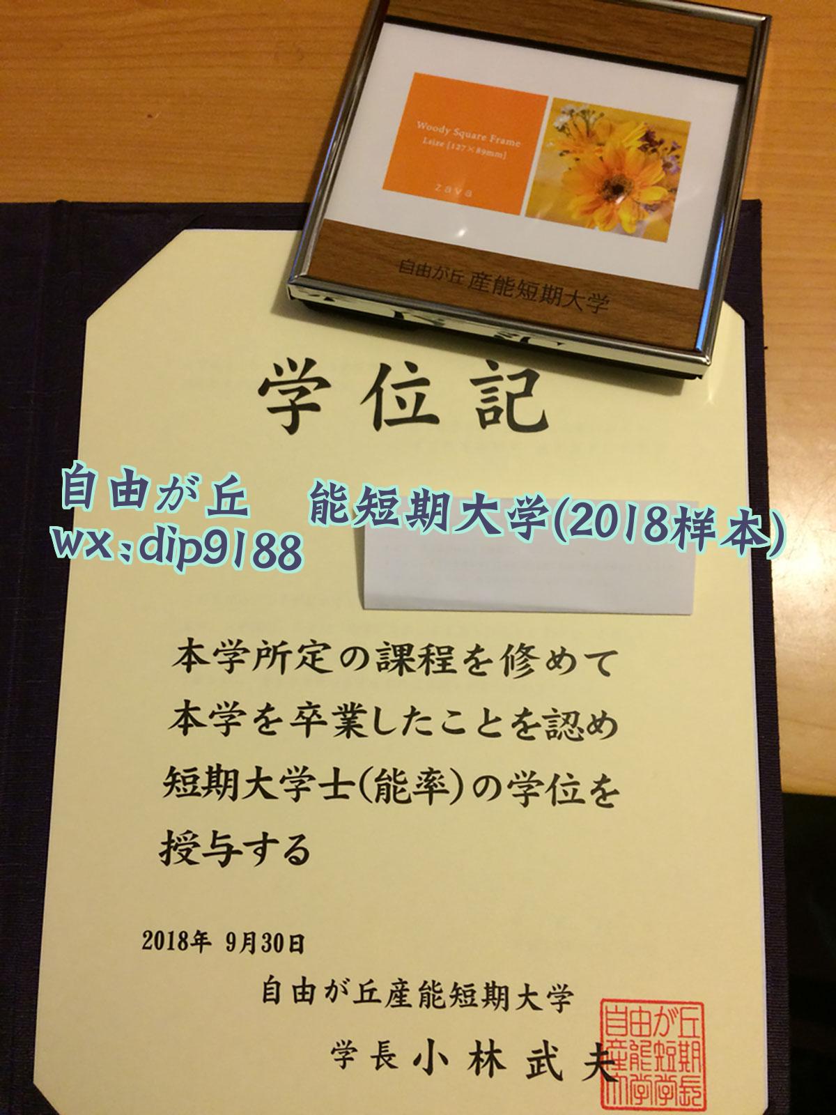 自由が丘産能短期大学学历2018毕业证样本图
