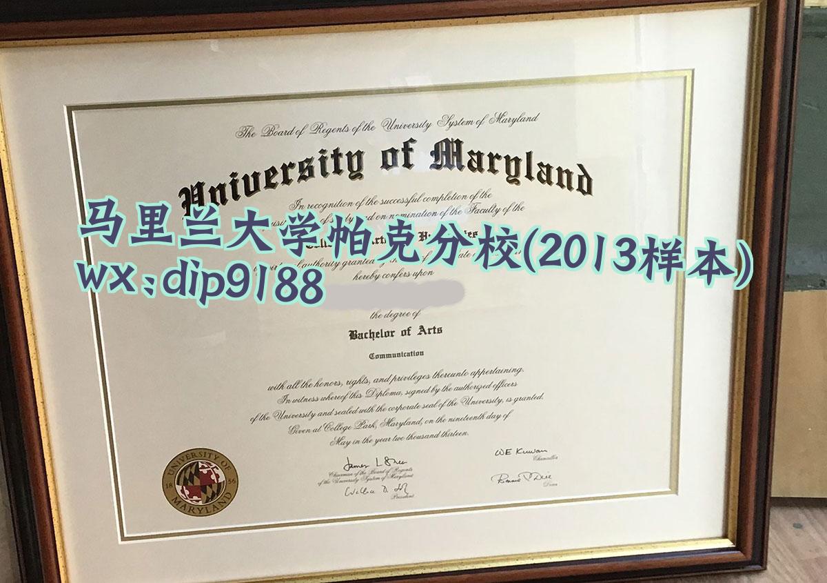 马里兰大学帕克分校学历2013毕业证样本图