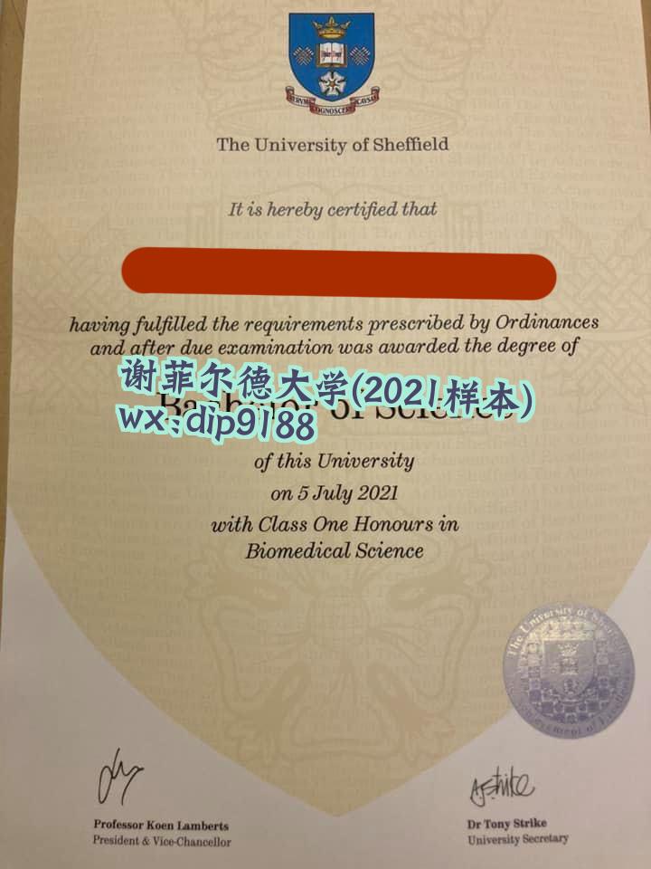 谢菲尔德大学学历2021毕业证样本图