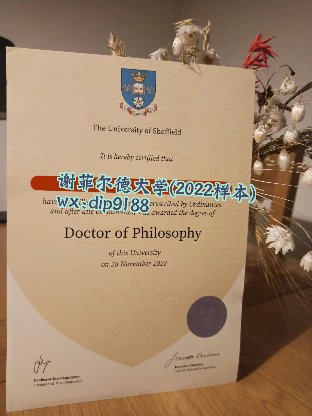 谢菲尔德大学学历2022毕业证样本图