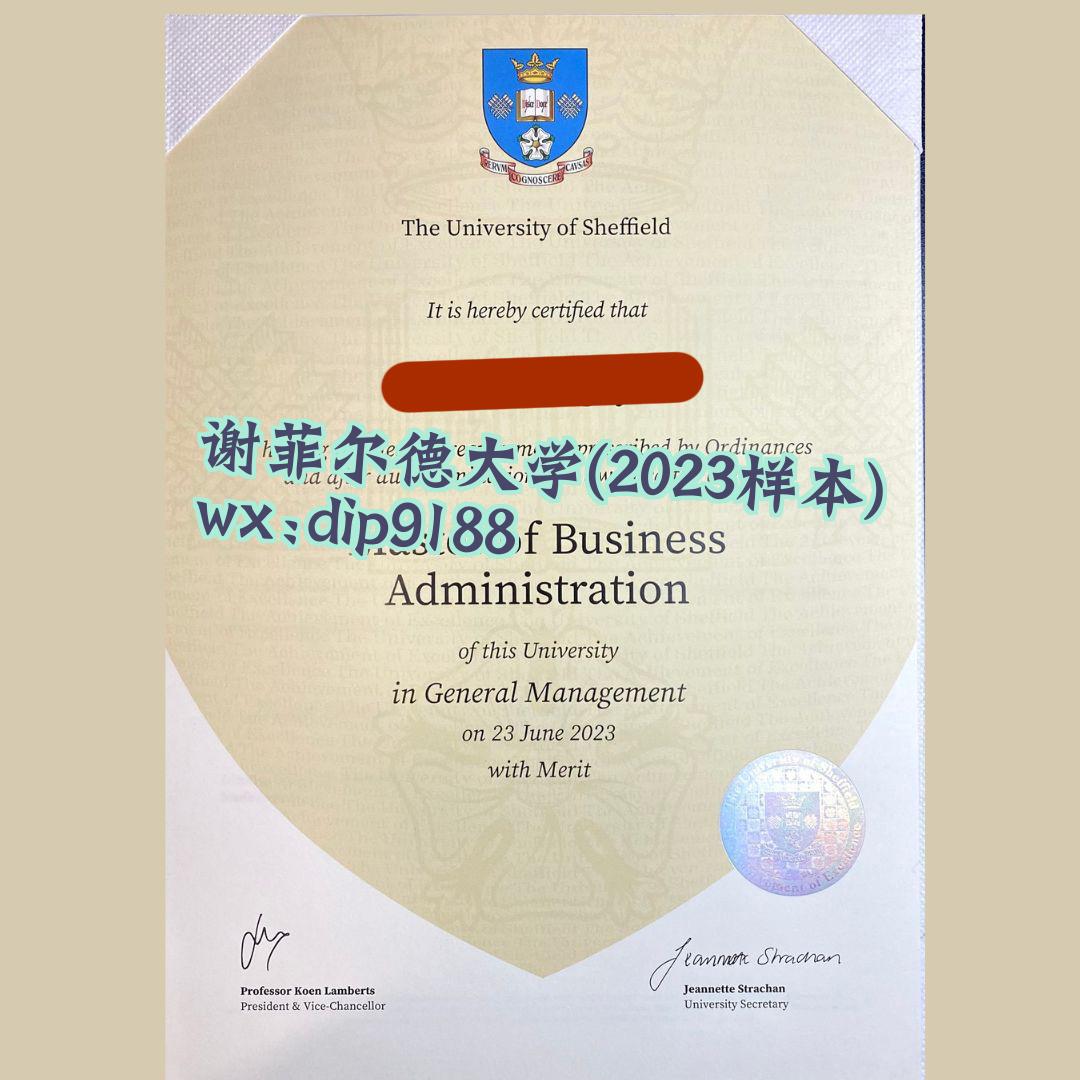 谢菲尔德大学学历2023毕业证样本图
