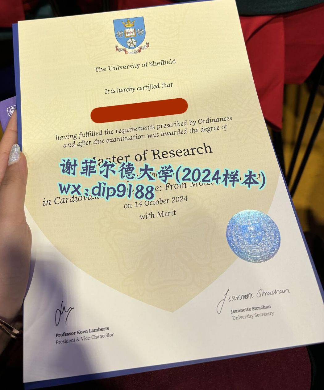 谢菲尔德大学学历2024毕业证样本图