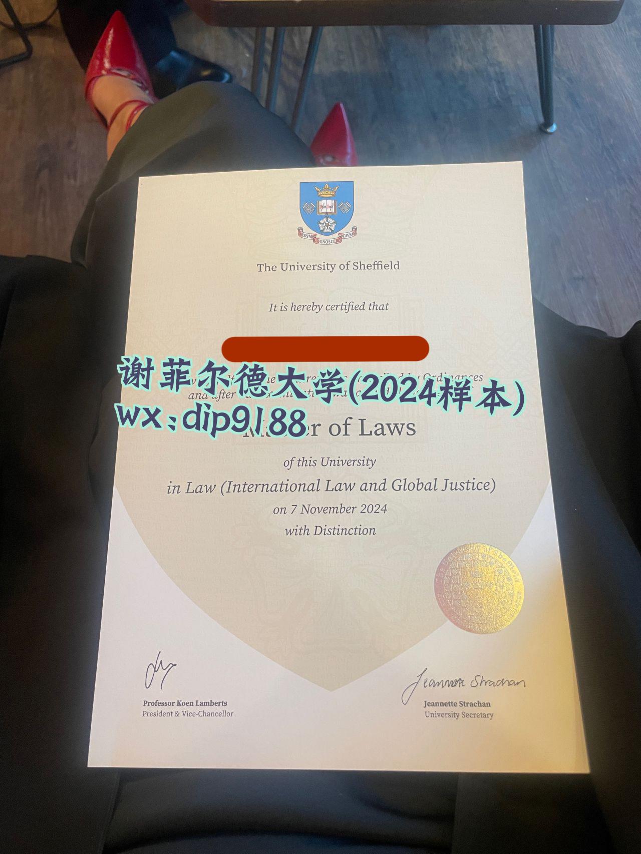 谢菲尔德大学学历2024毕业证样本图